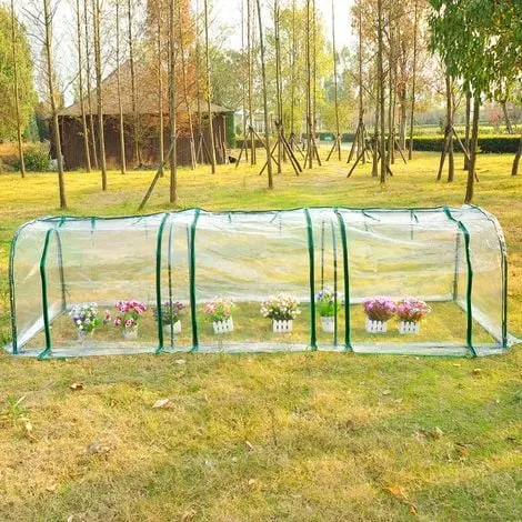 Mini Greenhouses: The Secret to a Thriving Year-Round Indoor Garden